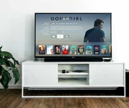 tv-gone-girl