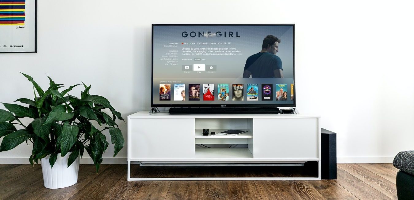 tv-gone-girl